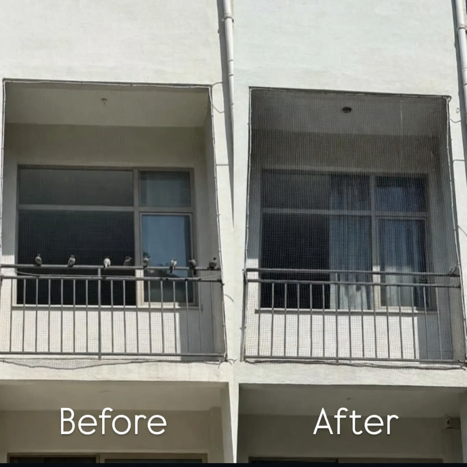pigeon net installation service kathmandu